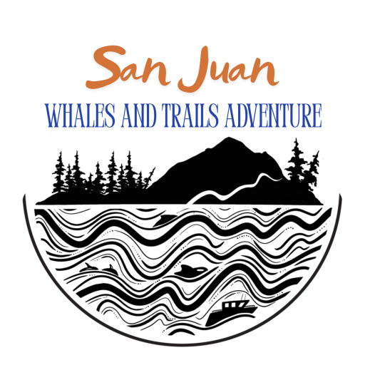 San Juan Whales and Trails Adventure - San Juan Island Whale Watching Tours