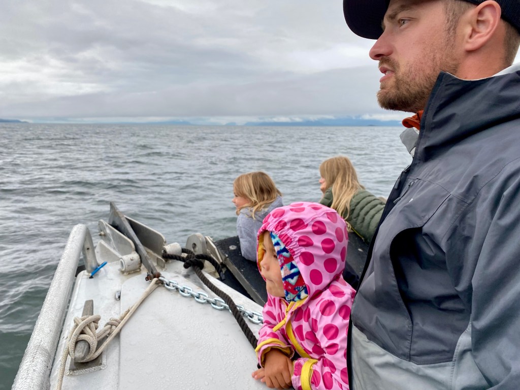 San Juan Whales and Trails Adventure - San Juan Island What Watching Tours
