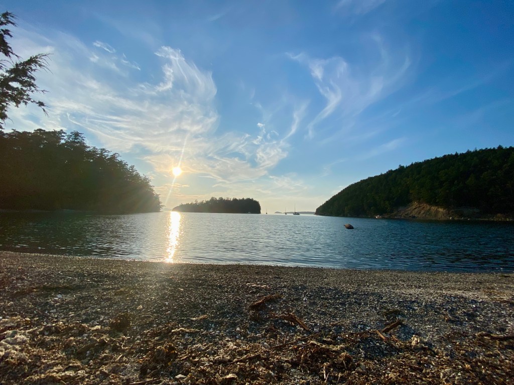 San Juan Whales and Trails Adventure - San Juan Island What Watching Tours
